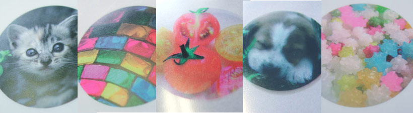 Fingerprint Art Glass Magnets Craft 